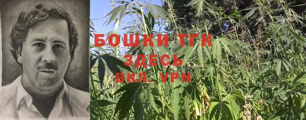 Альфа ПВП Аркадак