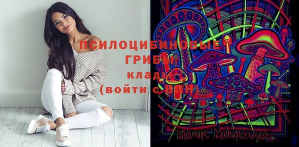 Альфа ПВП Аркадак