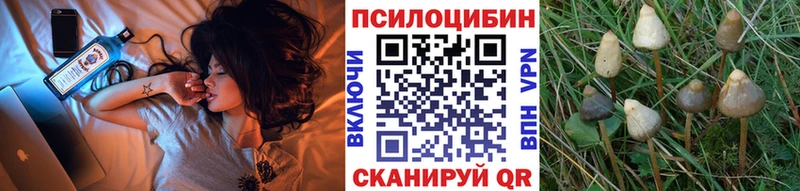 нарко площадка как зайти  купить наркоту  Соль-Илецк  Галлюциногенные грибы мицелий 